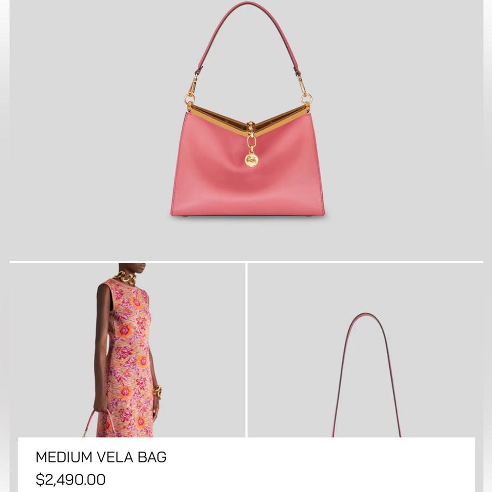 Etro Pink Leather Shoulder Bag with Gold-Tone Trim - Picture 2 of 15